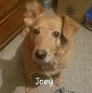 Meet your Posher, Jill